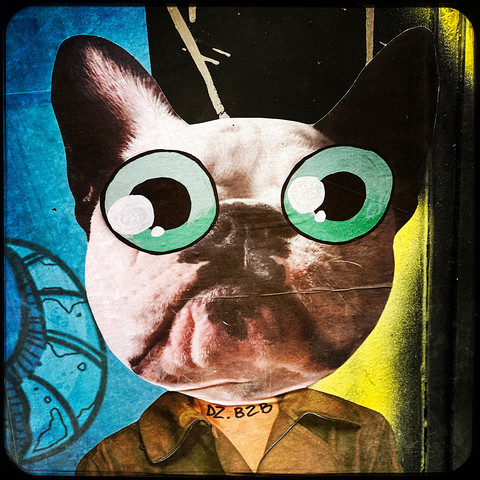 A colour Hipstamatic photo of a piece of street art showing a cartoon dog with googly eyes