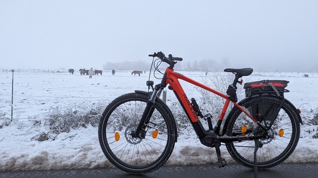 Ein rotes Raleigh Dundee Mountainbike von der Seite aufgenommen steht auf einer schmalen Landstraße, dahinter eine Wiese auf der Pferde den Schnee wegscharren, um an das Gras zu gelangen. Es ist neblig-trüb.