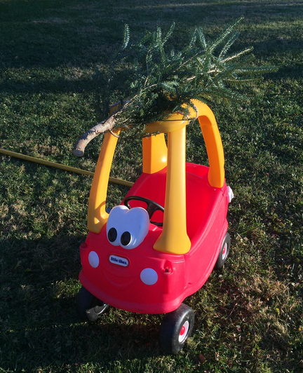 Color image of a Little Tikes car with a Christmas tree tied to the roof. Child's car has a red body, eyes looking forward above the front, and a yellow arched window area on which the tree has been tied. It is sitting on a green field of grass.