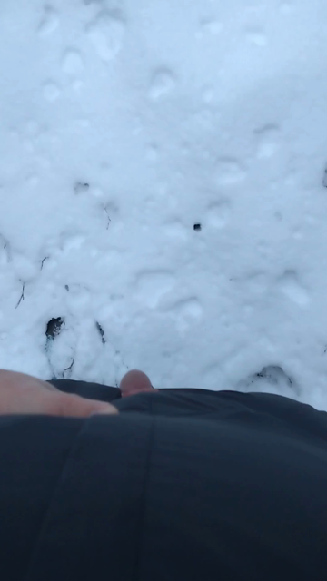 Video of me peeing the word "Fox" into the snow in a nice little forest, as usual showing my surroundings a bit after the peeing part
