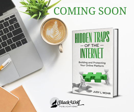 Check out the cover for the upcoming release of "Hidden Traps of the Internet: Building and Protecting Your Online Platform"