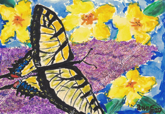 A large yellow and black swallowtail butterfly on a purple lilac like flower with small yellow flowers around it