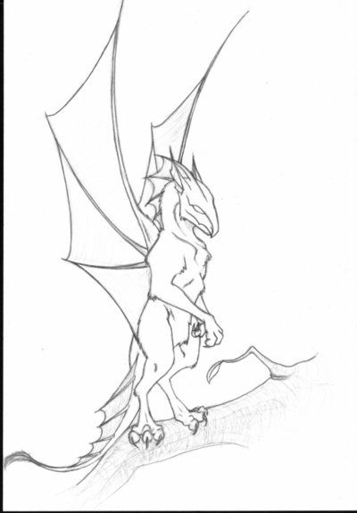 A pencil drawing of a small dragon standing on a branch.
The dragon is standing upright and is seen to be a little fluffy with anatomy similar to that of a cat, the wings are made up of three long spines each with webbing inbetween, it also has similar webbed ears and a spiny mane that ends at the shoulders. The tail has webbed spines running from just behind the legs towards the end of the tail. The tailtip is a little bit fluffy.