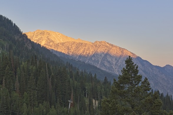 In the foreground is a mountainside covered in pine trees while the background shows a snowy mountain top that is just catching the first rays of sunrise under a clear blue sky.