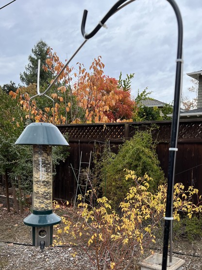 A bird feeder hanging from a hook on a pole. An added piece of metal increases the width of the hook to put the bird feeder farther away from the pole