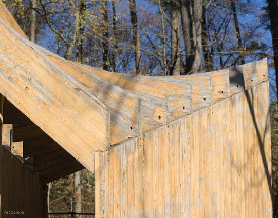 Blonde woodwork of the House of Trees : City of Trees structure at the Crystal Bridges Museum of American Art. The top of the structure is curved. In the background are tall pine trees and blue sky