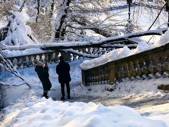 Tree collapsed across a stone terrace, covered in snow, with a couple of onlookers photographing it.