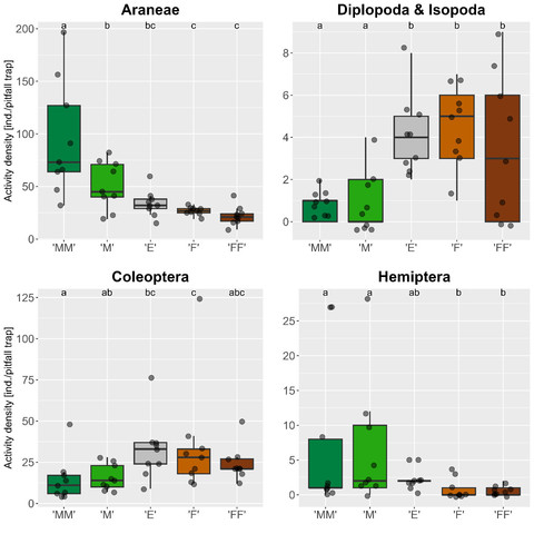 Box-plot figure showing the activity densities of soil invertebrates along an ecological transect from mountain meadows towards mixed forests.