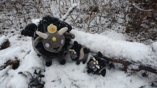 Three plush baphomet goats -- one big and two small -- hanging out in a snowy woods. The goats are grey and black with white horns, black wings, with yellow stars on their foreheads, and little yellow-orange flames on their heads.