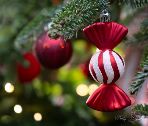 Red and white christmas ornament shaped like a peppermint candy with other red oraments in the distance on a tree at Longwood Gardens at Christmas 2023