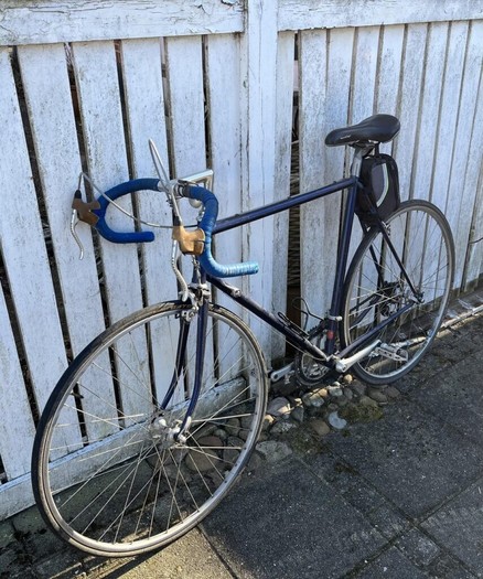 Restored my vintage bike