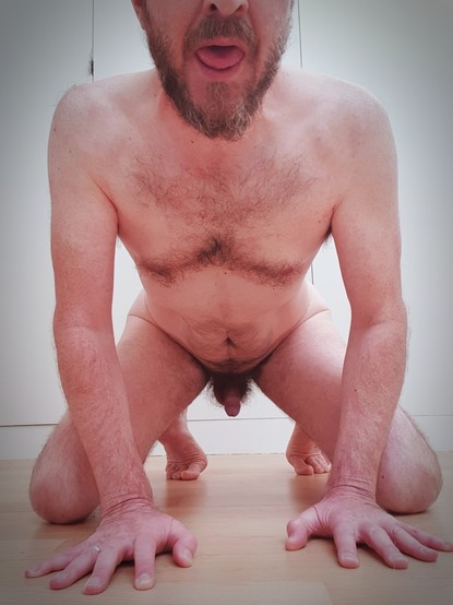Homme nu accroupi, face à la caméra, à quatre pattes, sexe apparent et tirant la langue