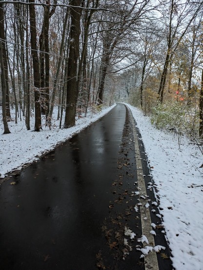 Vom Schnee geräumter Fahrradweg im Wald. In Münster werden bei Schnee auch die Fahrradwege geräumt