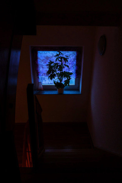 window
colour image