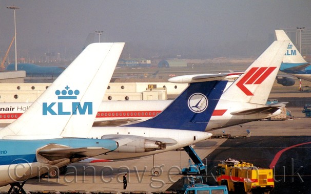 Side view of a trio of jet airliners - from left to right, a white and bluew plane with a white tail with blue "KLM" titles, a whhjite plane with a blue tail with a flying blue bird in a white circle, and a white plane with a stlised red letter "M" on a white tail. In the background, other planes and several buildings slowly fade into mist in the distance.