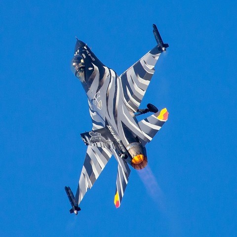 Belgian Air Force F-16 "Black Falcon" performing at Belgian Air Force Days #avgeek #bafdays #belgium #aviation #military #f16 #generaldynamics #airshow #airshows #planes #airforce #aircraft #airplane #air #travel #blue #sky #tiger #nato #natotigers #pilot #instaplane #instaaviation