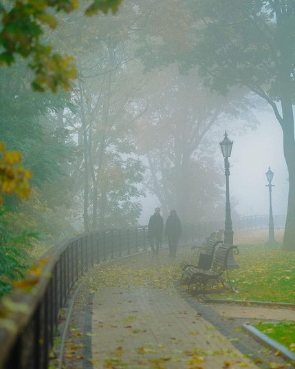 Fog