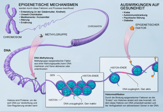 Merkel ist Quntenphysikerin. Ihr Gatte Quantenchemiker. ...
Welche Rolle spielt der Konzern BIOVIA?