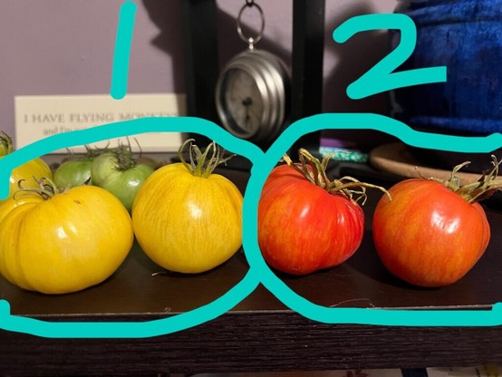 “Heirlooms of unknown variety”