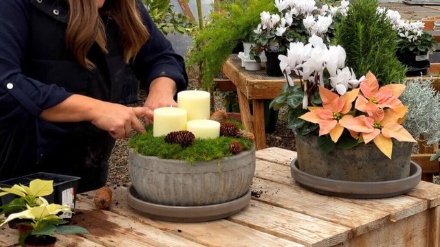 Planting 2 Holiday Centerpieces & Finishing the Eastside Pots for Winter! ❤️🌲❤️ // Garden Answer