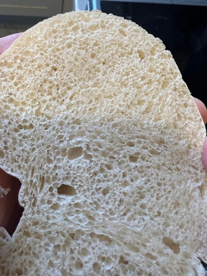 Is this good? I see so many posts with huge cavities in your bread, but mine mostly turns out like this? Any help appreciated