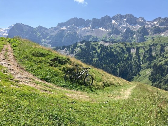 Classic Mondraker Foxy in its natural habitat last summer