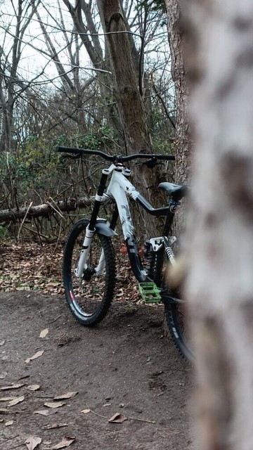 Custom Giant Reign X1