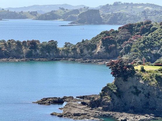 A rocky coastline, with trees perched of the edges of cliffs