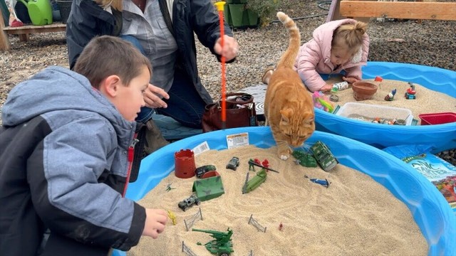 Sand Boxes in the Greenhouse & Flower Bed Cleanup! 🏖️✂️🌿 // Garden Answer