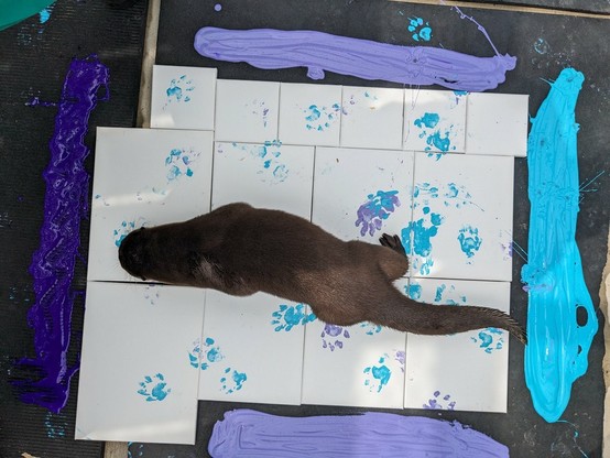 Azure Generated Description:
a dog lying on a bed (44.07% confidence)
---------------
Azure Generated Tags:
child art (92.99% confidence)
animal (90.95% confidence)
cat (71.24% confidence)
indoor (53.85% confidence)