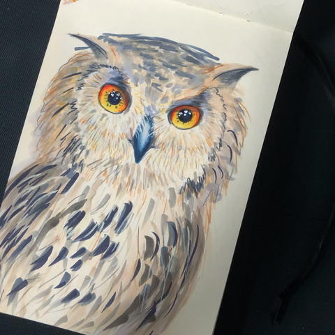 Dessin d’un hibou regardant fixement droit devant lui.