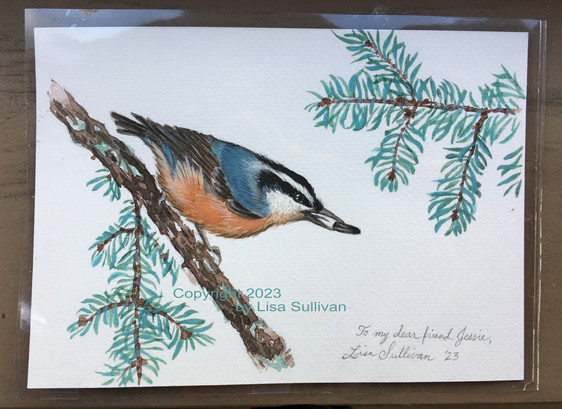 small watercolor painting of a red breasted nuthatch bird on an evergreen twig, with a sunflower seed in its beak.