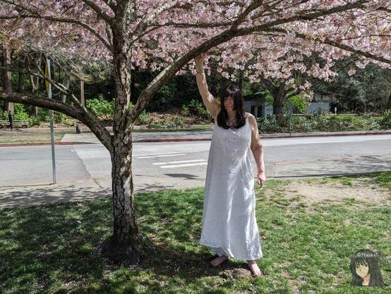 A woman in white under a blooming sakura tree