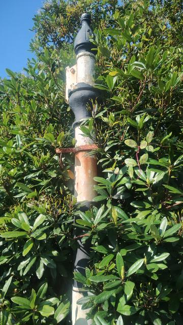 Old, iron, black and white signpost, almost enfolded by a nearby hedge