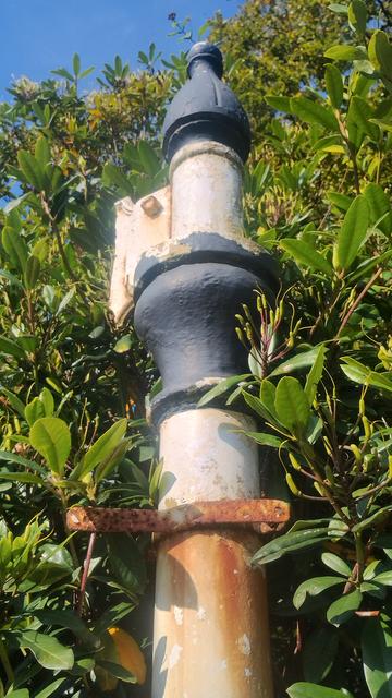 Close up of top of an old, cast iron signpost, painted in black and white, but lacking the sign, although the bracket for it visible on top, almost swallowed by a tall hedge