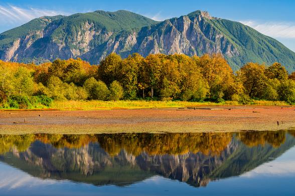 Color photo.  Mount Si and a small lake.  The mountain is reflected in the lake.  Growing on the far shore are a line of trees going golden autumn yellow.