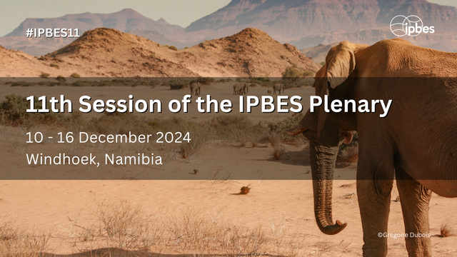 An image of an elephant looking out over a desert landscape. Overlay text reads "11th Session of the IPBES Plenary 10-16 December 2024, Windhoek, Namibia."