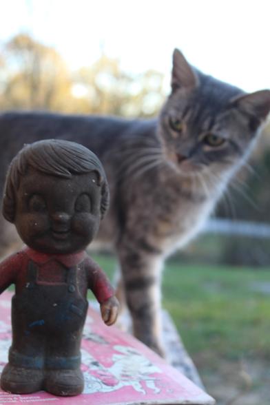 Phoenix the cat inspects a curiously dirty vinyl doll standing atop a book.