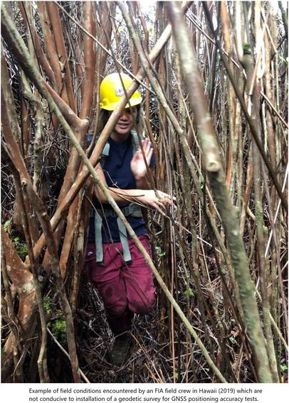 photo - Example of field conditions encountered by an FIA field crew in Hawaii (2019) which are not conducive to installation of a geodetic survey for GNSS positioning accuracy tests.