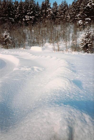 A snowy roadside. Marker posts are completely covered in snow but appear as a line of round lumps. There is a forest of conifers in the distance.