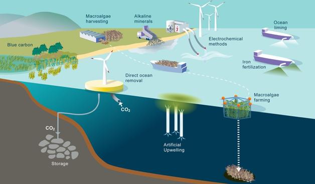Figure 1. Illustration of various biotic and geochemical methods suggested for marine carbon dioxide removal. Biotic methods include iron fertilization, blue carbon, macroalgae farming, also in combination with artificial upwelling. Geochemical methods include alkalinity enhancement in the form of ocean liming, addition of alkaline minerals, electrochemical methods and direct ocean removal.