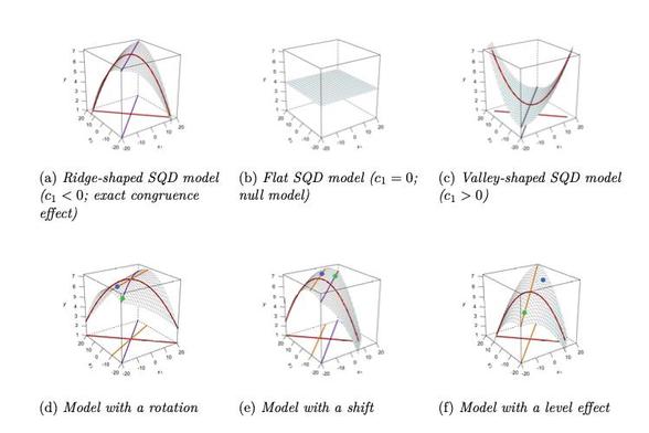 Screenshot from 3d surface plots that show different variations of congruence effects.