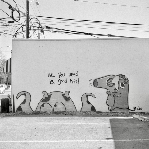 A black and white film photo. A graffitied wall shows a parrot in curlers holding a hairdryer over, what appears to be, a sea monster, with the phrase “All you need is good hair!” painted above. Austin, Texas. Sunday, February 2, 2025.