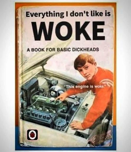 Photo of a book titled "Everything I hate is woke; a book for basic dickheads"