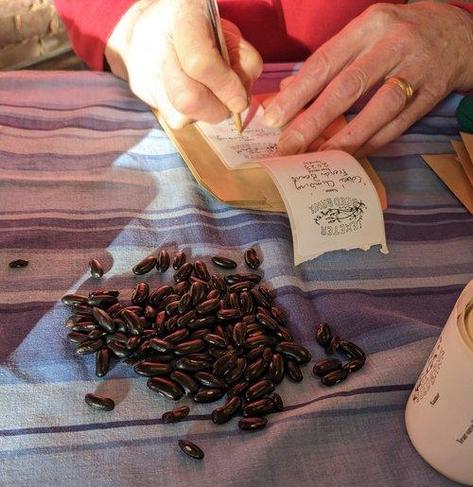 Someone is writing a label for a seed packet in front of a pile of glossy dark beans about to be divided up for individual gardeners