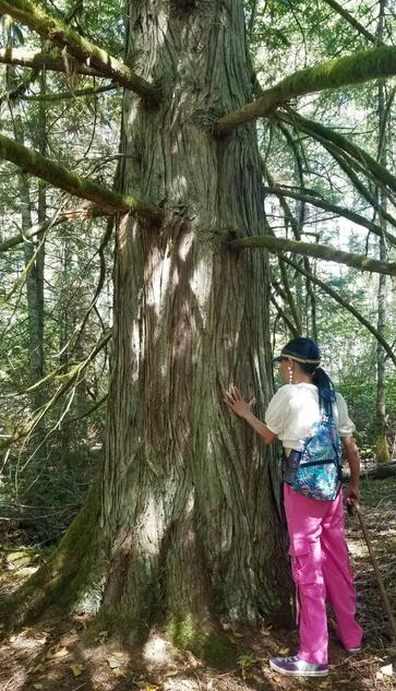 Me, in bright pink cargo pants standing in a damp forest, gently touching the massive trunk of an old-growth tree. Sunlight filters through the canopy, dappling across the bark. I have a colorful backpack, a baseball cap & pearl dangle earrings & holding a walking stick. Green moss grows on the lower part of the tree trunk & its branches. The surrounding forest is thick with other trees & foliage.