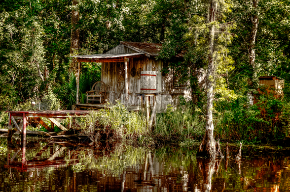 Photo of a hut deep in the swamp