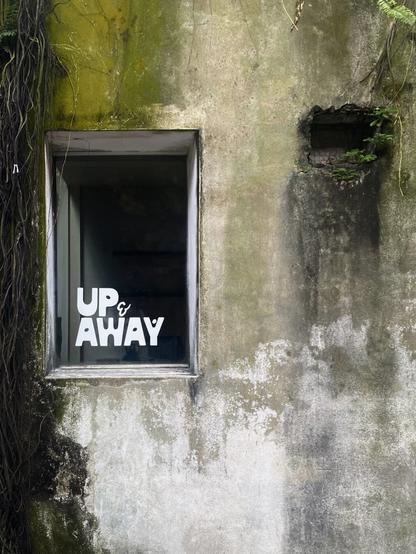An image of Kwai Chai Hong’s textured alleyway walls from the view of one of the windows of Up and Away.
