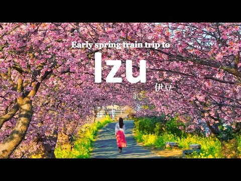 Early Spring Train Trip to Izu from Tokyo | Kawazu & Ito | JAPAN TRAVEL VLOG
