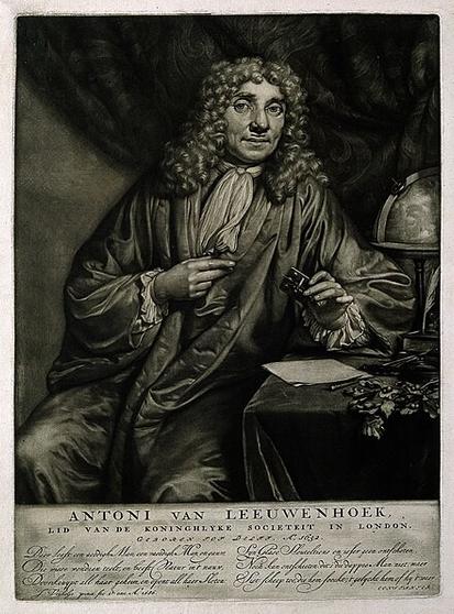 image/jpeg a sketch of a man in academic style robes, a crevat, and long curled wig, sitting by a globe and holding a scientific instrument.

Antoni van Leeuwenhoek. Mezzotint by J. Verkolje, 1686 CC BY 4.0